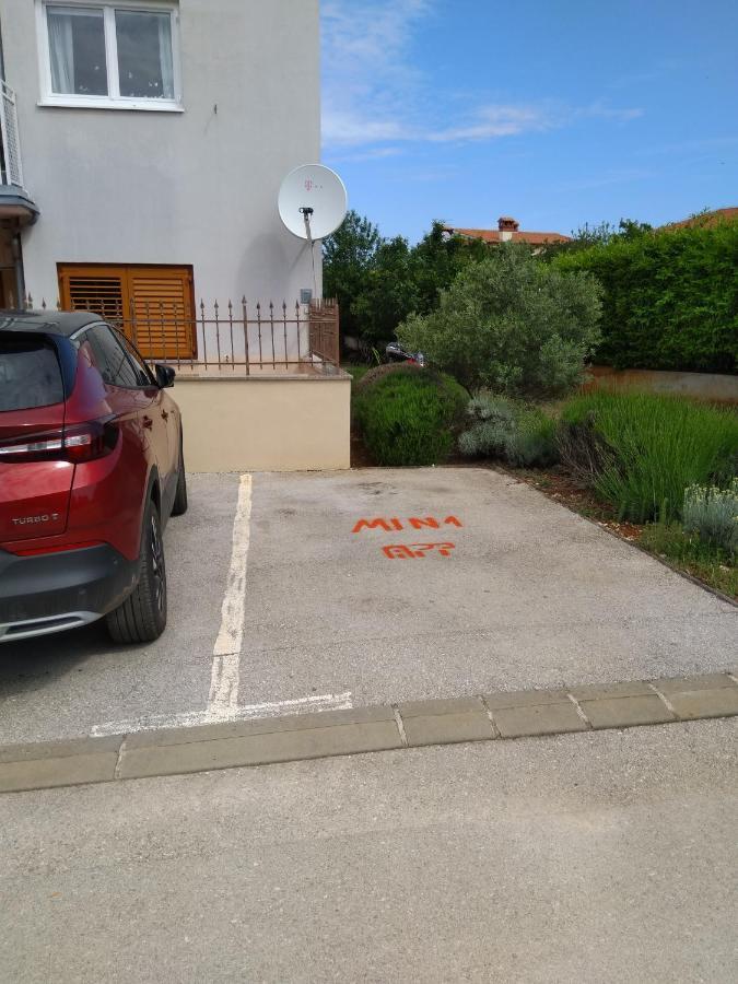 Medo Apartment Novigrad  Exterior photo
